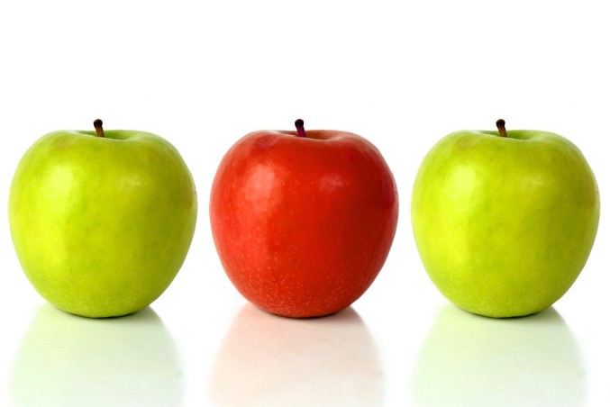 IS THERE A SINGLE WORD WHICH MEANS SIMILAR BUT NOT QUITE THE SAME intelligence overview