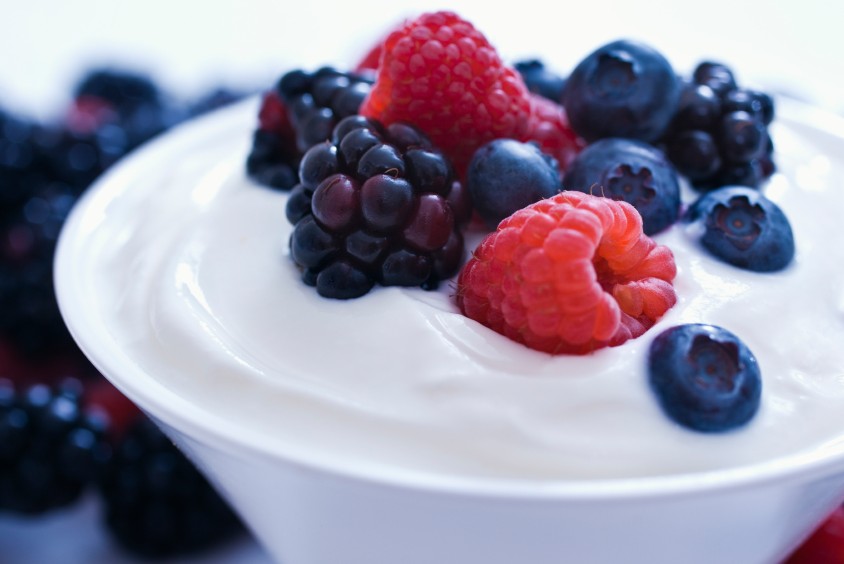 Culture For The Masses The Complexities of Kosher Yogurt Certification