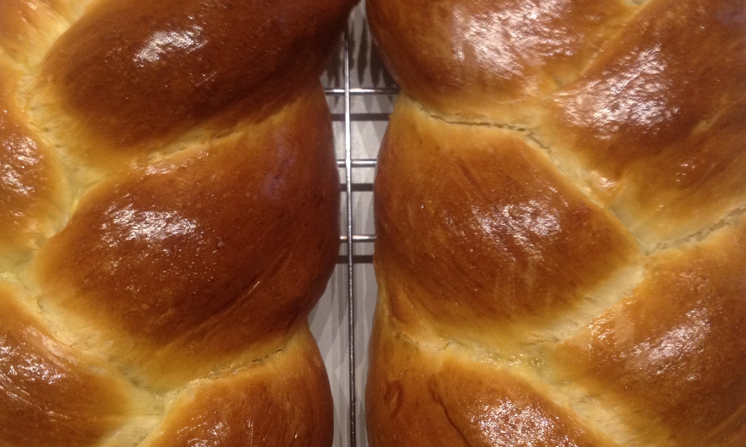 5-pounds-of-flour-challah-with-apricots-raisins-ou-kosher-recipes