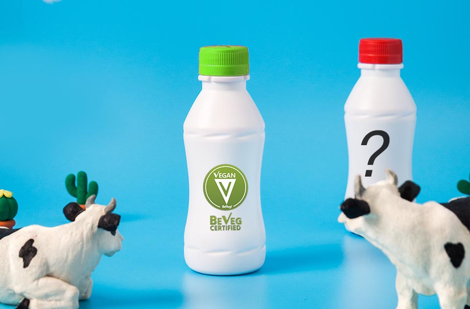 Vegan Dairy Free and FDA regulations