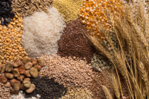 The complex carbohydrates of whole grains regulate sugar in the bloodstream. 