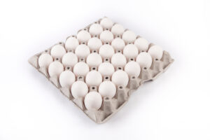 The egg market is strong. Eggs have protein and other nutritious qualities that help foster the demand. 
